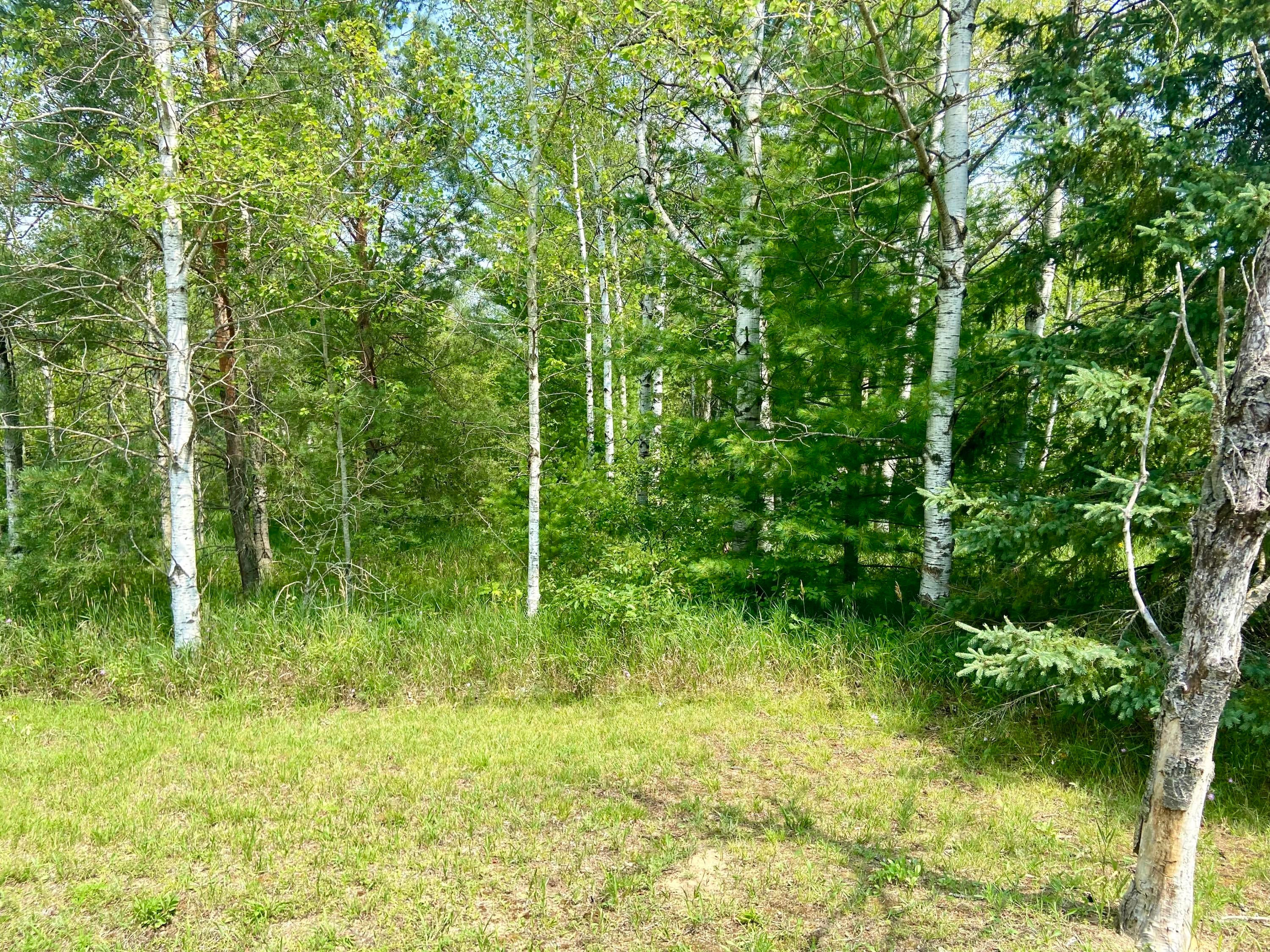 3825 Sheridan Road Lewiston, MI 49756 - Photo 17 of 17 Gallery Image 17