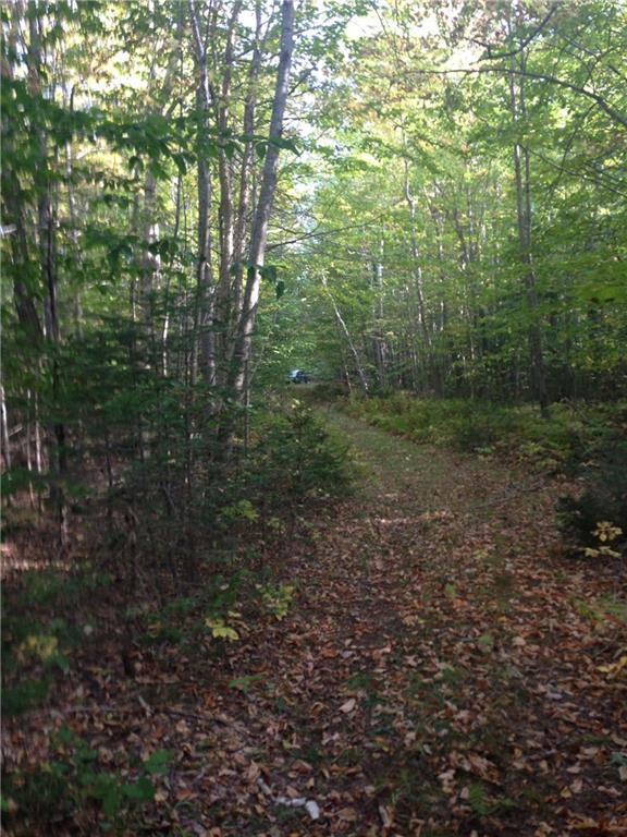 0 Estes Road Bryant Pond, ME 04219 - Photo 6 of 16 Photo