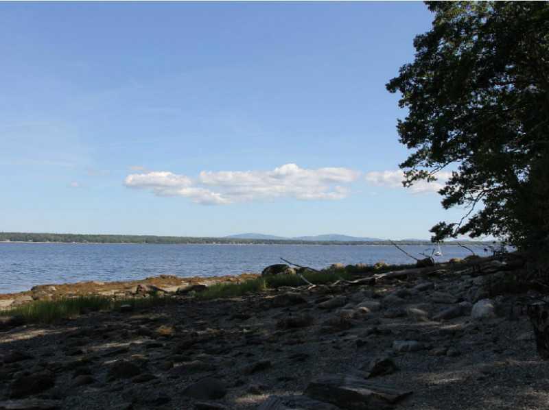 31 Raspante Lane Surry, ME 04684 - Photo 11 of 15 View.
