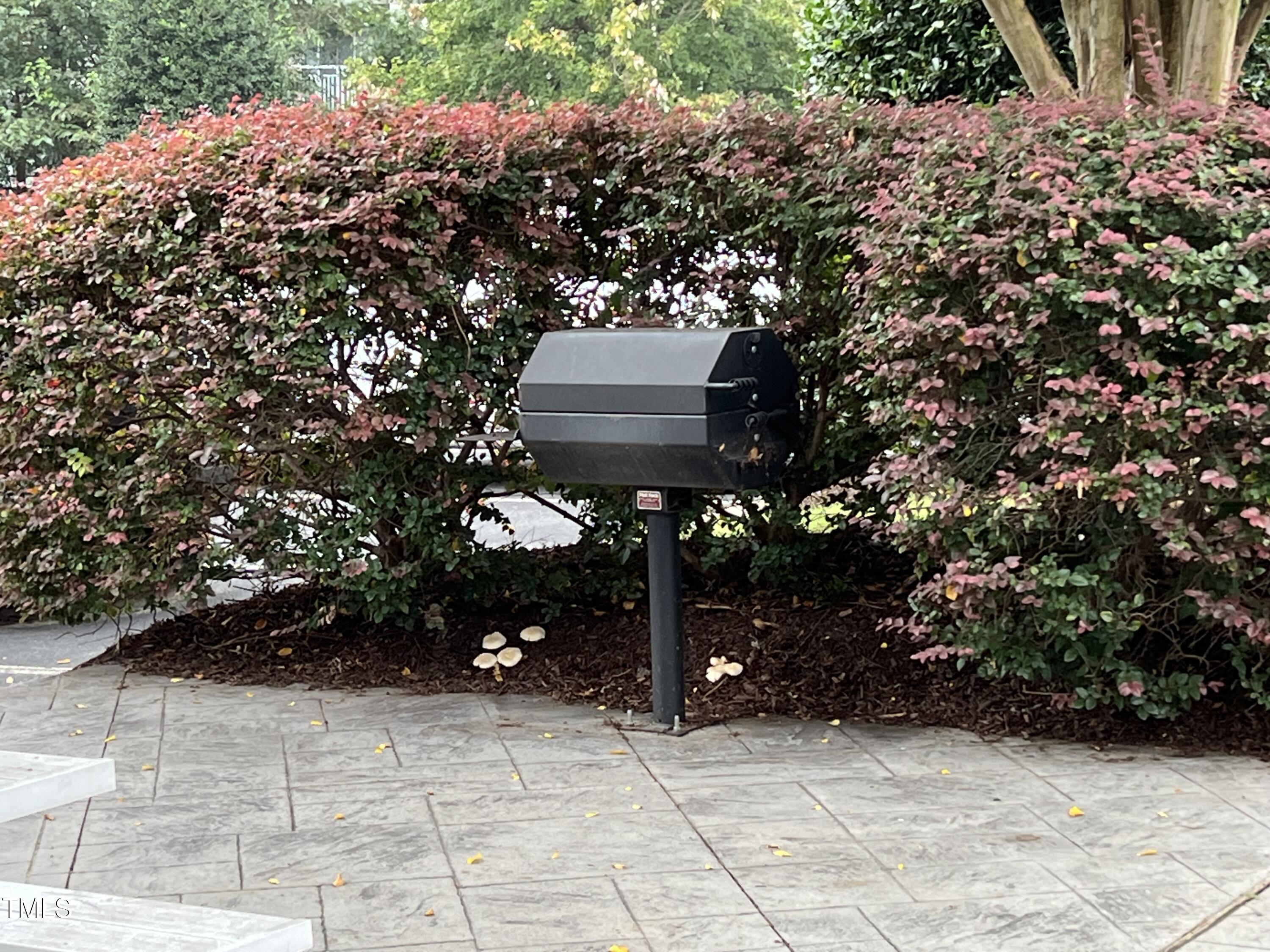 800 Moratuck Drive, Unit 102 Raleigh, NC 27604 - Photo 34 of 36 a view of entryway with flower garden