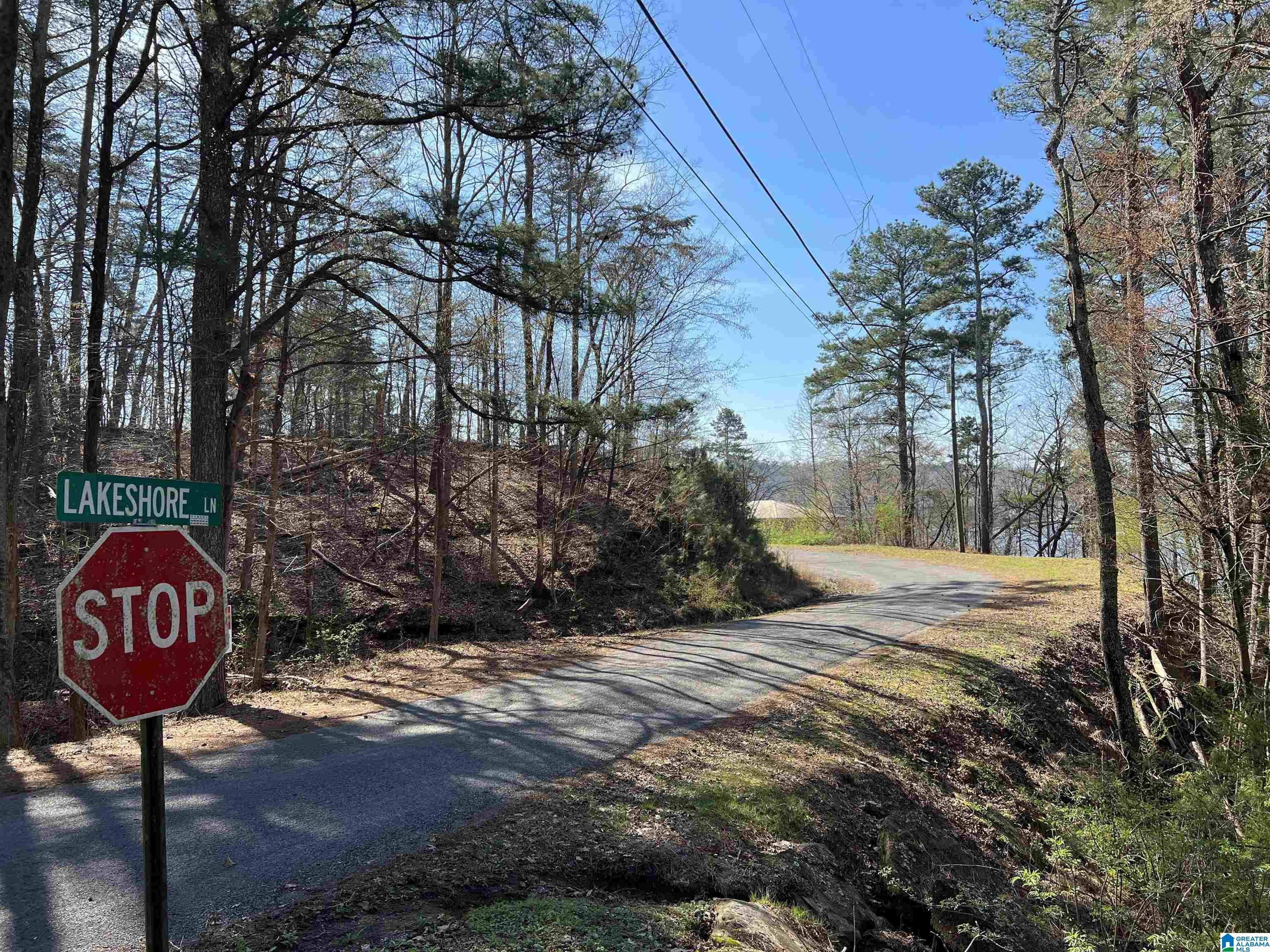 0 Lakeshore Lane, Unit 4 Oneonta, AL 35121 - Photo 37 of 49