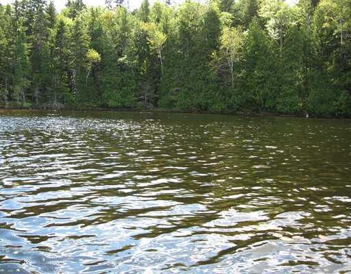 Lot N115 Burwash Road Wesley, ME 04686 - Photo 1 of 2 Waterfront/Dock/Pier.