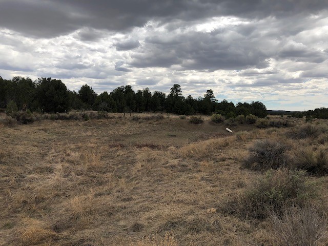 394 Candy Kitchen Road Ramah, NM 87357 - Photo 24 of 29