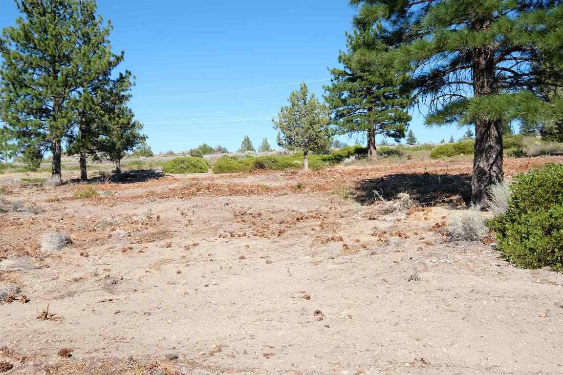 Lot 83-unit 7-2 Black Bear Road Weed, CA 96094 - Photo 8 of 21 Gallery Image 8