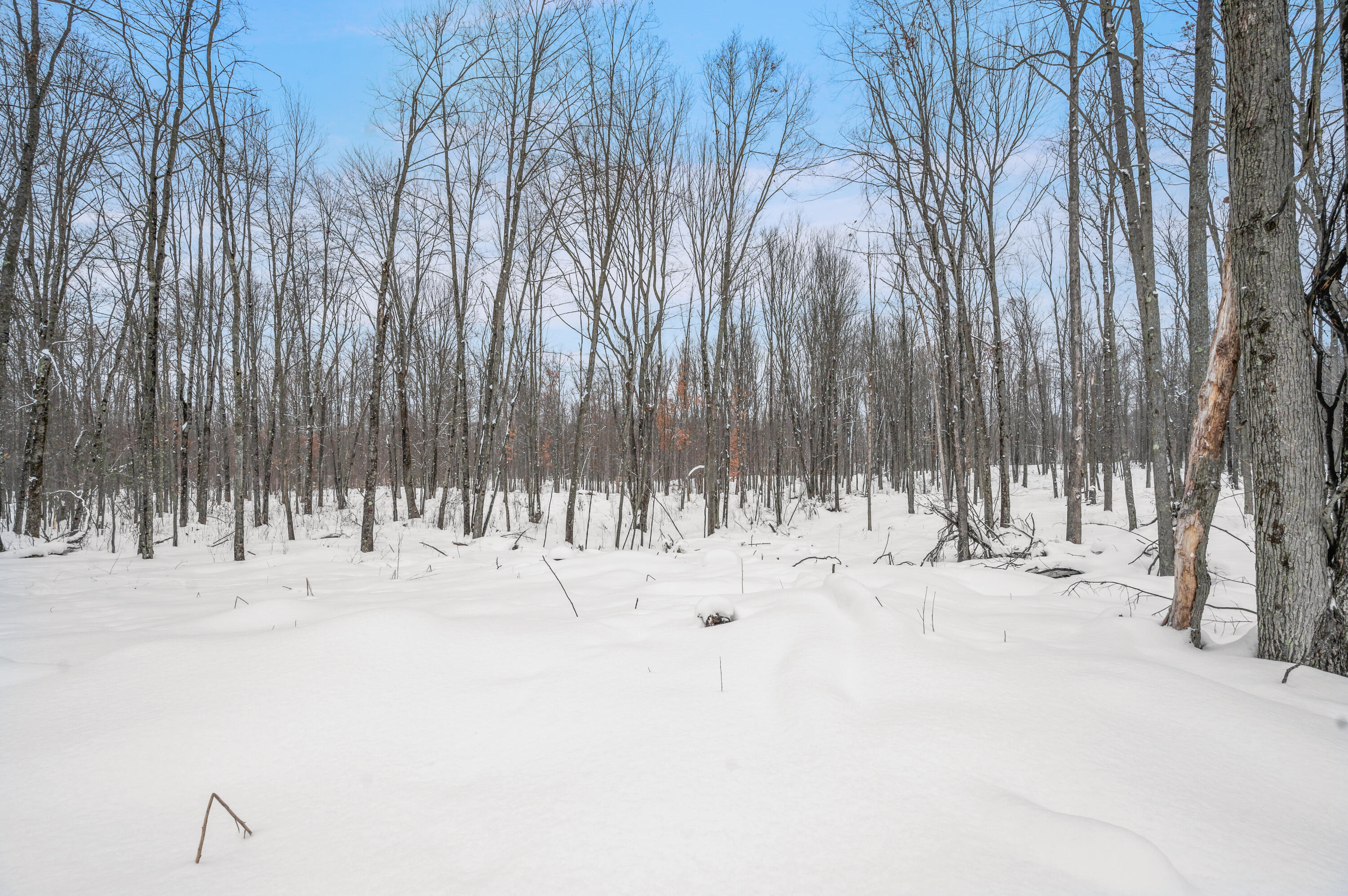 5561 East 68th Street Chase, MI 49623 - Photo 11 of 12 5516-E68thSt-Chase-13