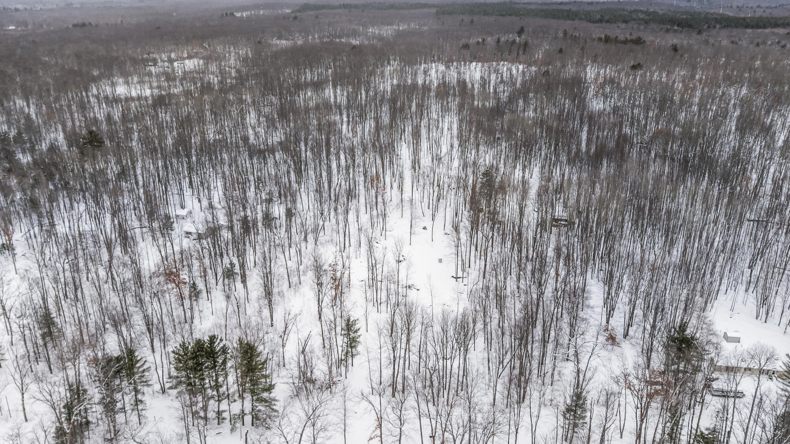 5561 East 68th Street Chase, MI 49623 - Photo 3 of 12 5516-E68thSt-Chase-1