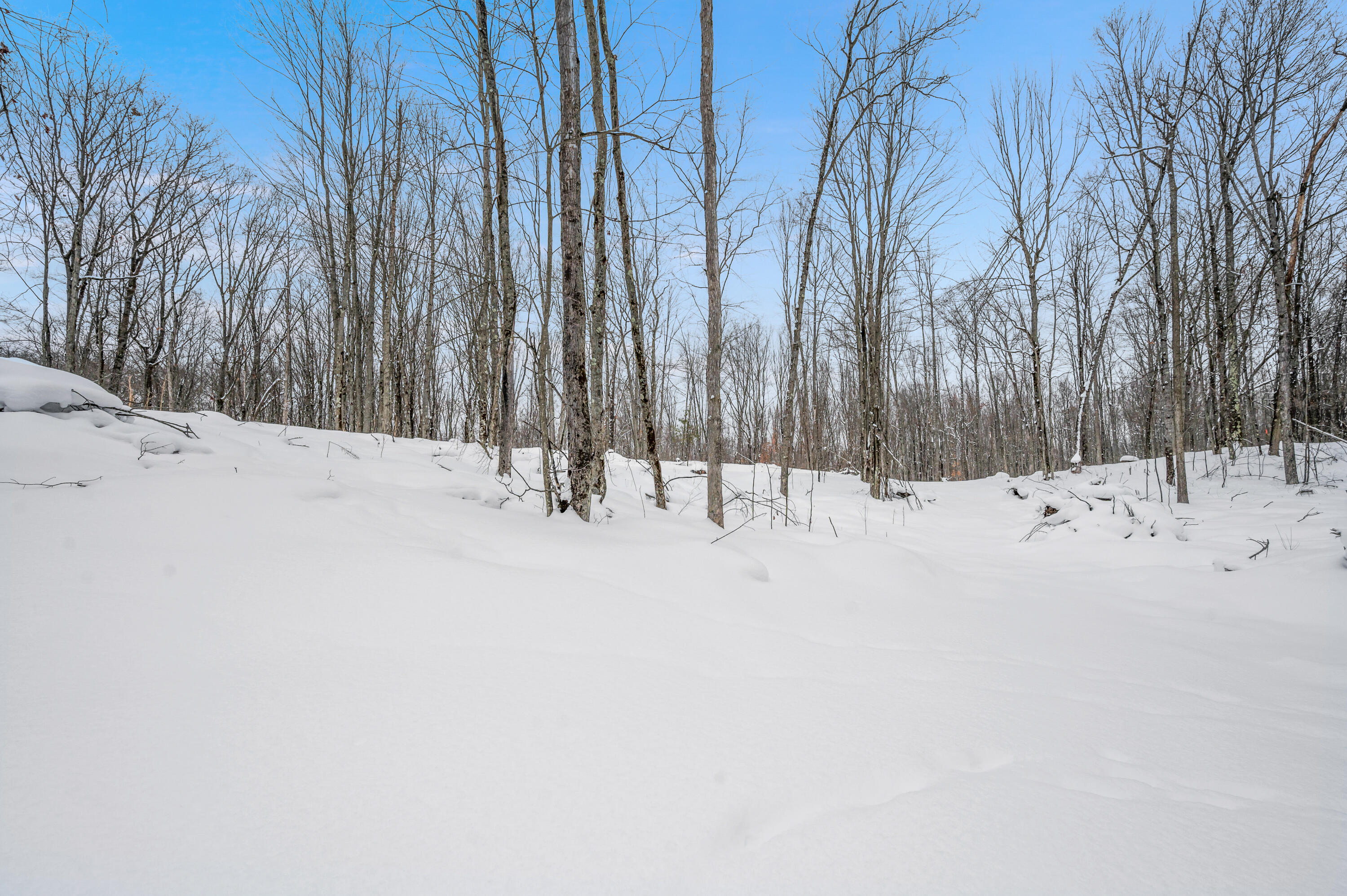 5561 East 68th Street Chase, MI 49623 - Photo 7 of 12 5516-E68thSt-Chase-9