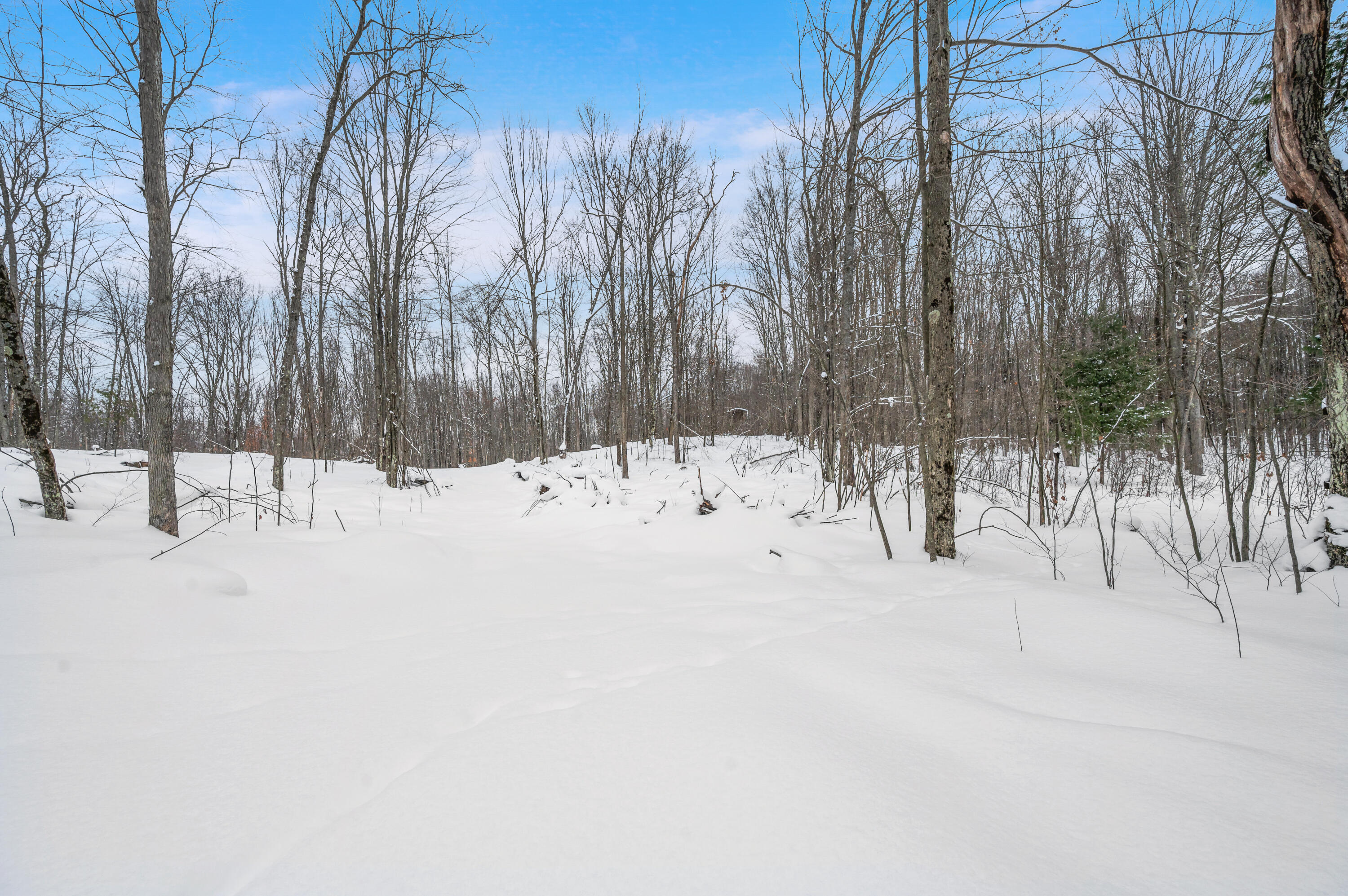 5561 East 68th Street Chase, MI 49623 - Photo 8 of 12 5516-E68thSt-Chase-10