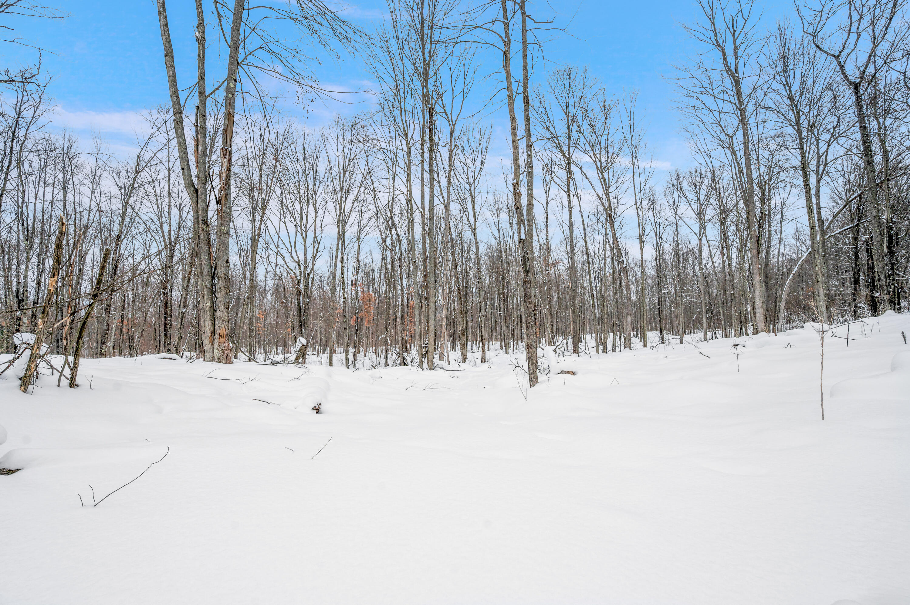 5561 East 68th Street Chase, MI 49623 - Photo 9 of 12 5516-E68thSt-Chase-11