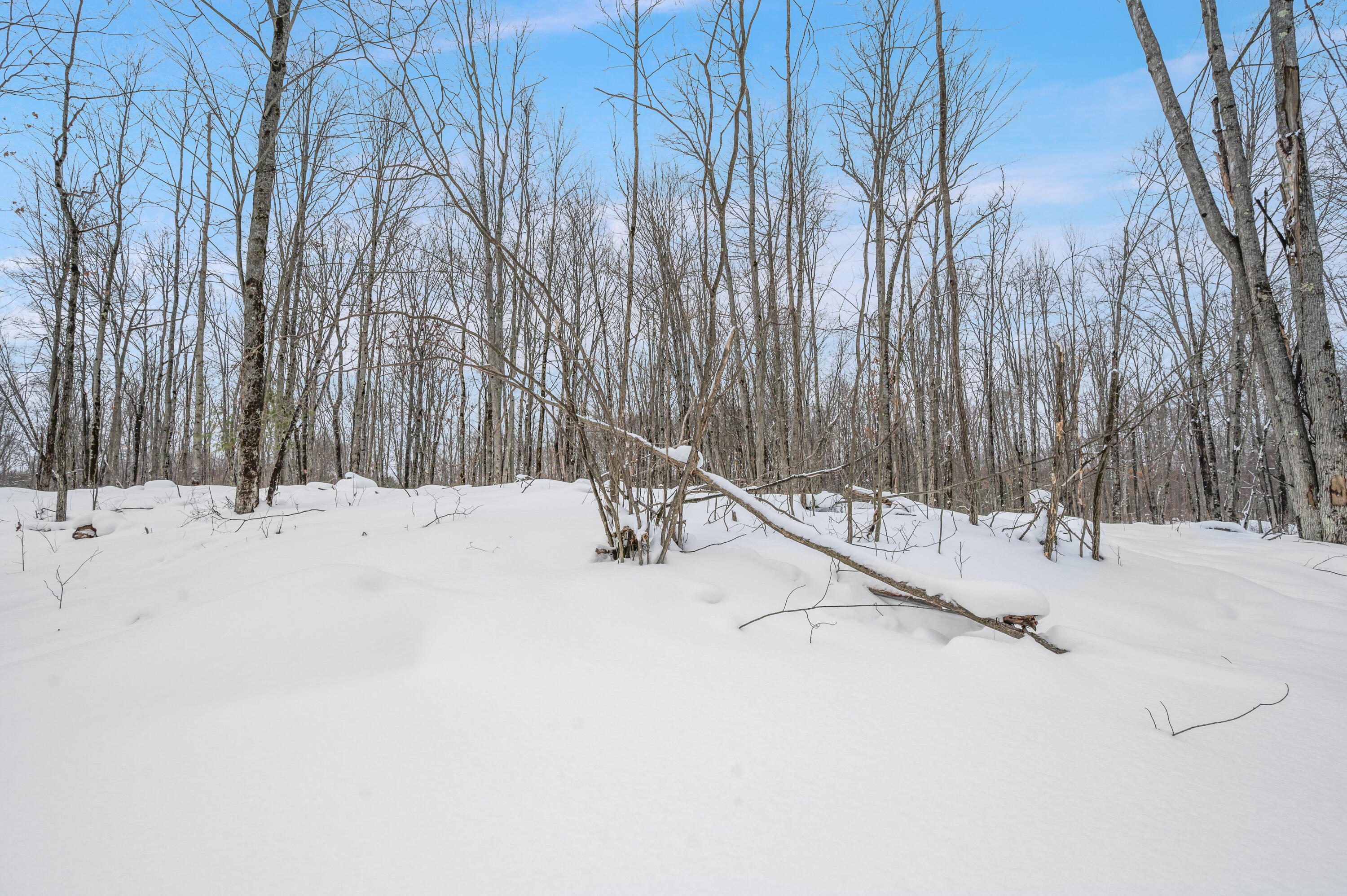 5561 East 68th Street Chase, MI 49623 - Photo 10 of 12 5516-E68thSt-Chase-12