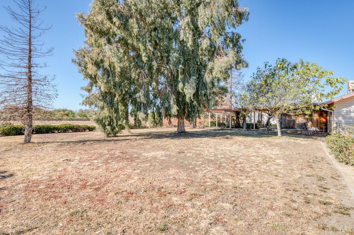 19650 Road 31 Madera, CA 93638 - Photo 42 of 43 a view of road with trees