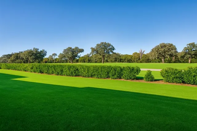 a view of grassy field with trees