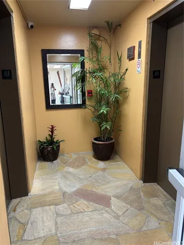 a view of a room with a potted plant
