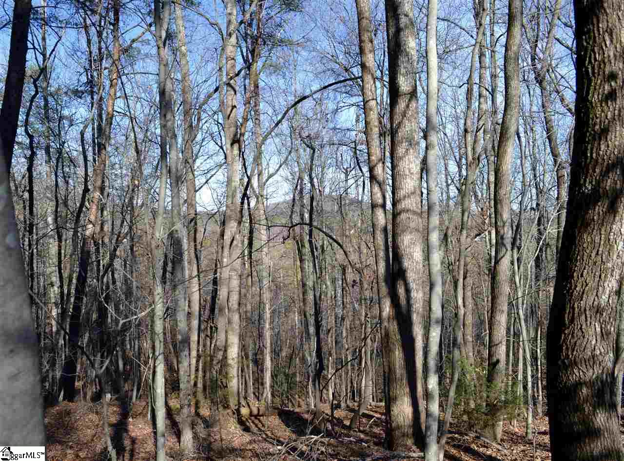 0 Prewette Hill Road Landrum, SC 29356 - Photo 1 of 4 With a little clearing, this view will be absolutely breathtaking!