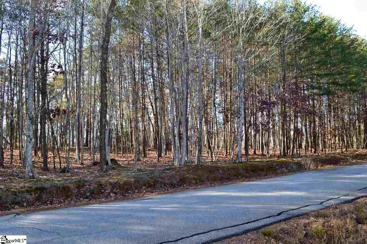 0 Prewette Hill Road Landrum, SC 29356 - Photo 2 of 4