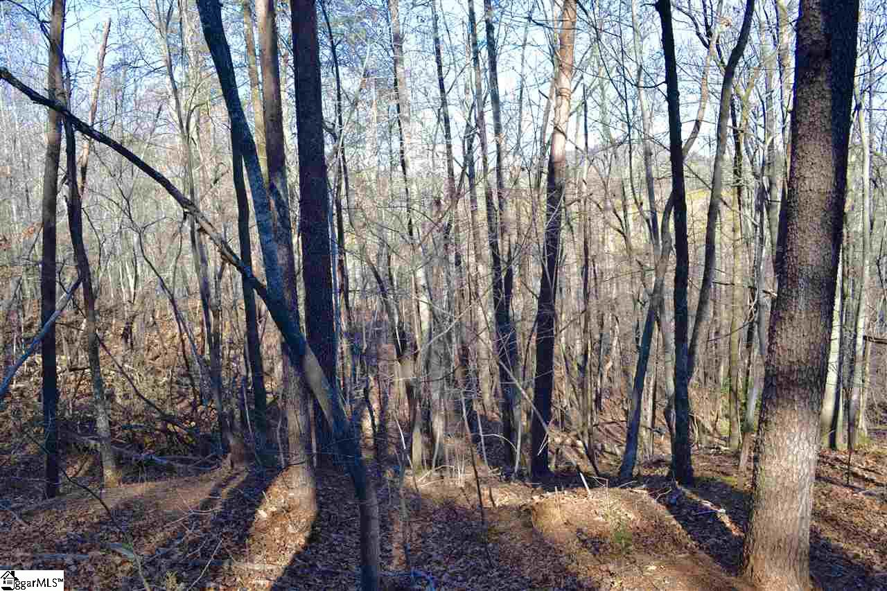 0 Prewette Hill Road Landrum, SC 29356 - Photo 3 of 4