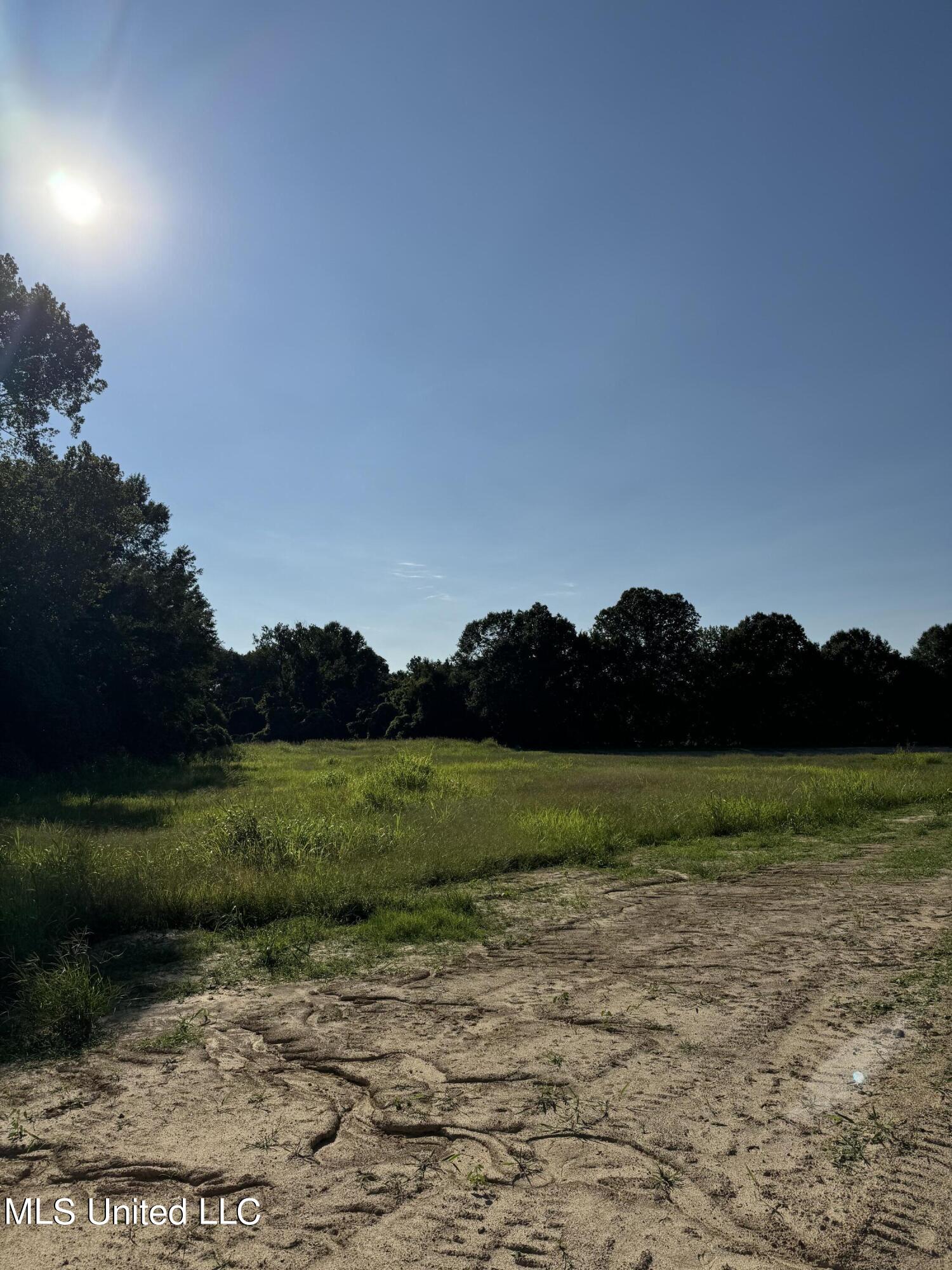Holly Springs Road Hernando, MS 38632 - Photo 3 of 7 Photo Aug 21 2024, 5 07 27 PM