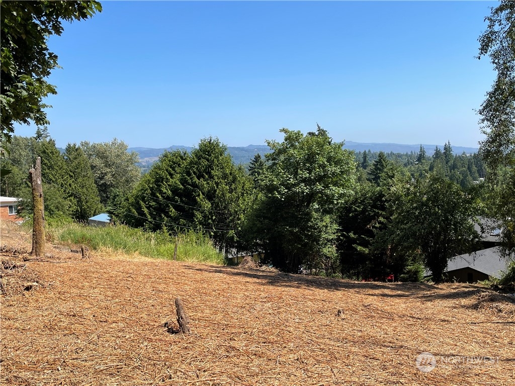 0 Columbia Heights Road Longview, WA 98632 - Photo 3 of 15 Gallery Image 3