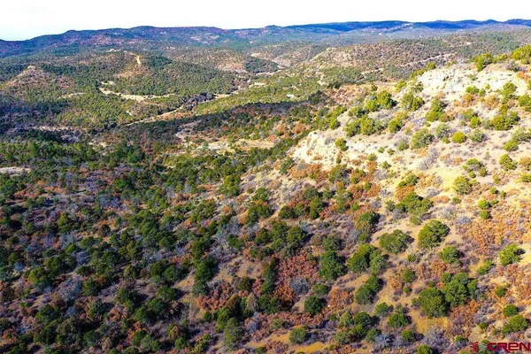 a view of city and mountain