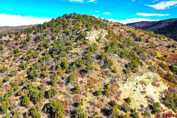 a view of a lush green hillside and a building