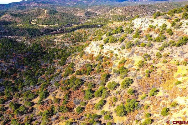a view of a field