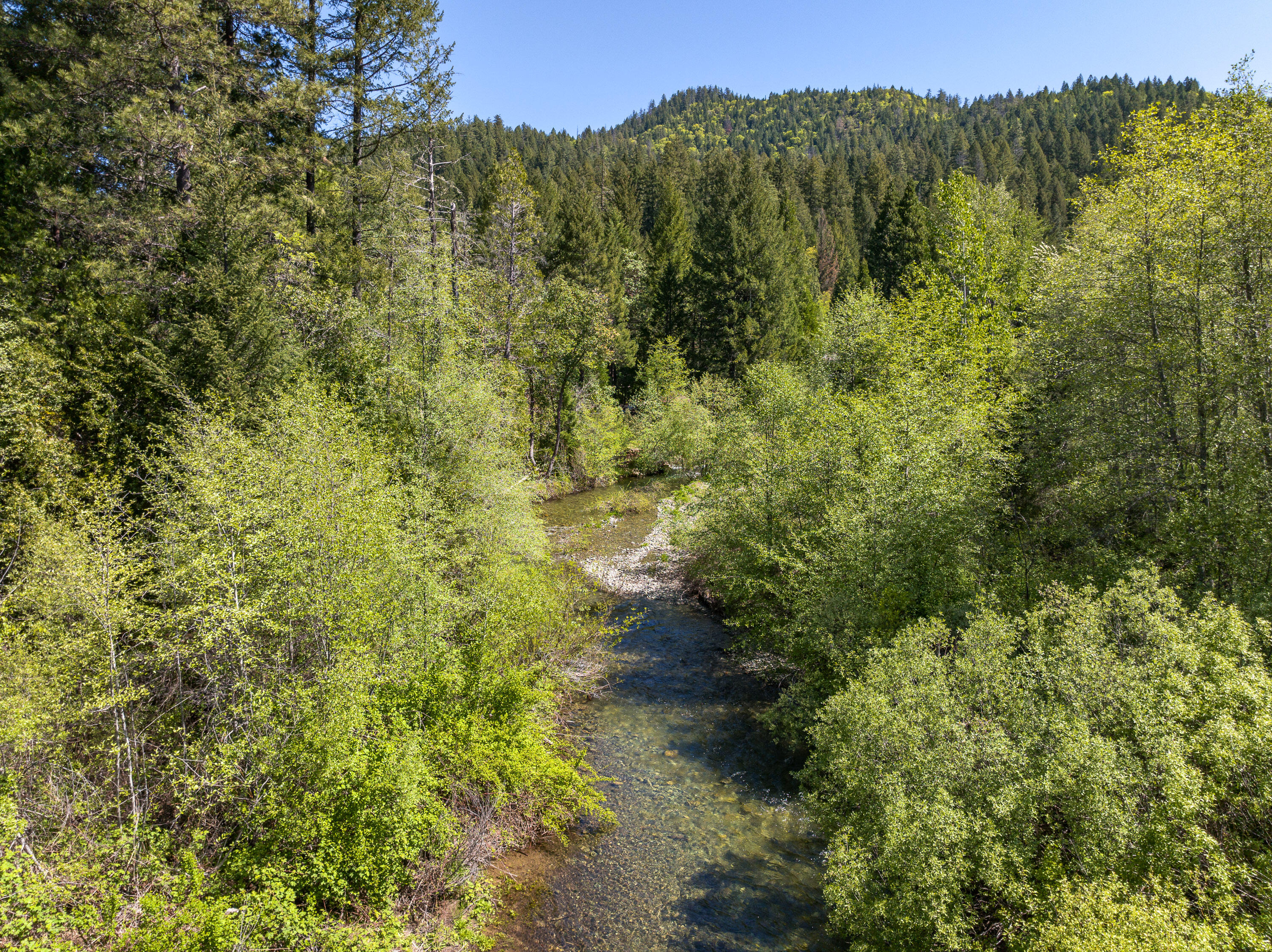 8501 Deer Creek Road Selma, OR 97538 - Photo 69 of 74