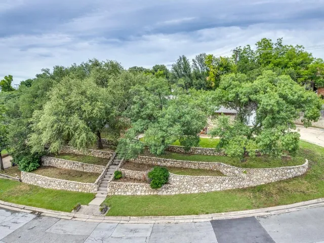 a view of a yard with plants