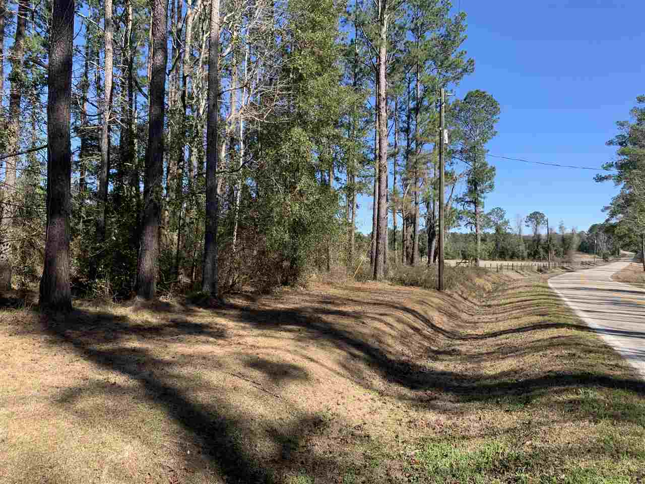 Tbd Wayside Farm Road Havana, FL 32333 - Photo 1 of 32 Gallery Image 1