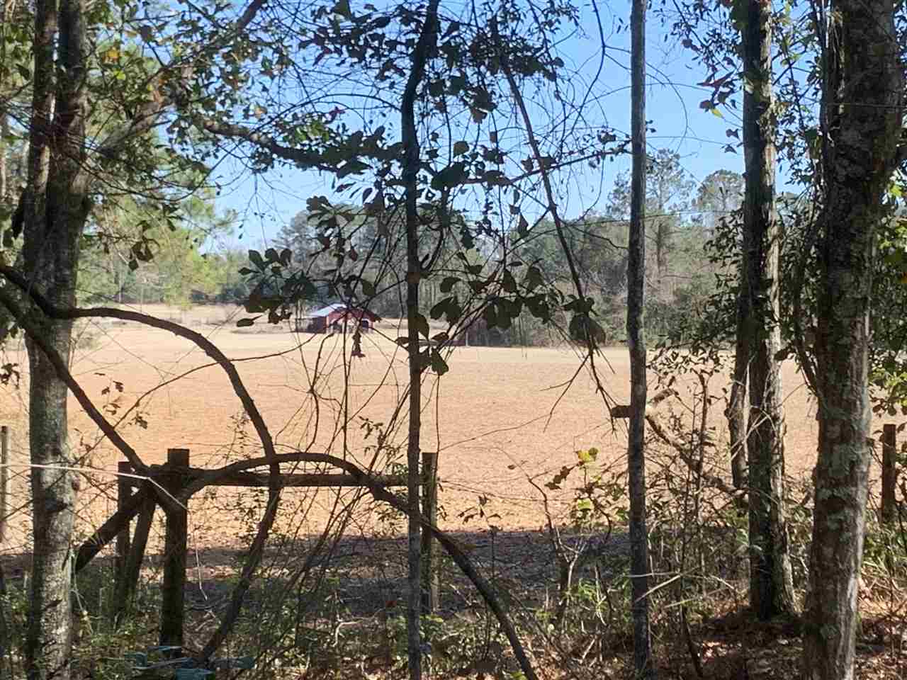 Tbd Wayside Farm Road Havana, FL 32333 - Photo 14 of 32 Gallery Image 14