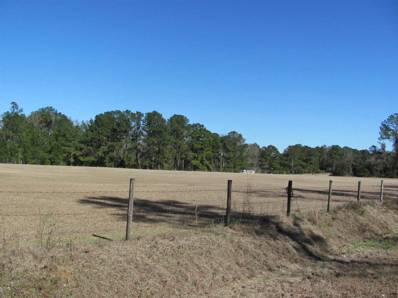 Tbd Wayside Farm Road Havana, FL 32333 - Photo 24 of 32 Gallery Image 24
