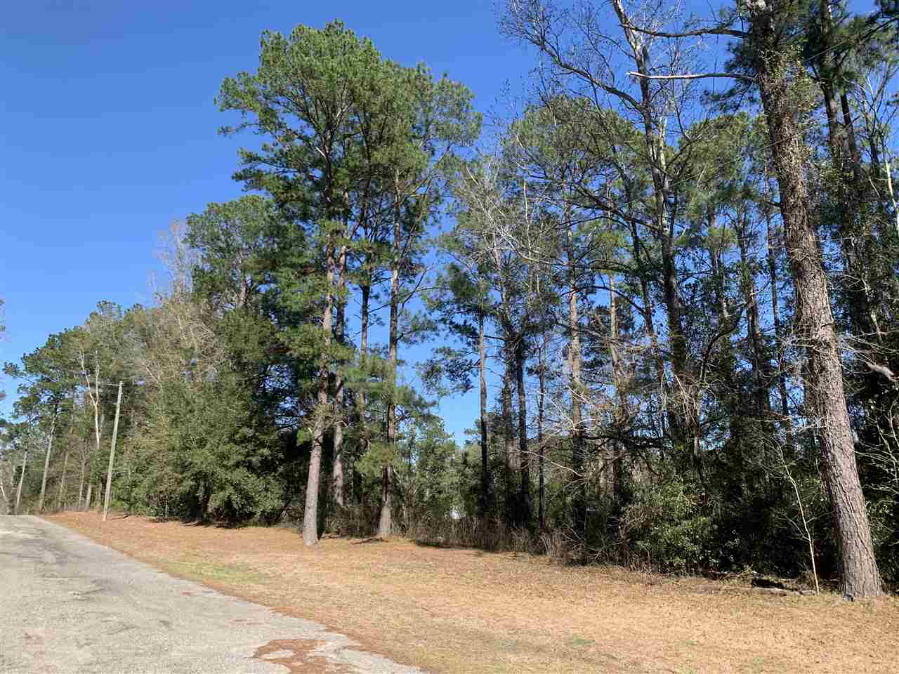 Tbd Wayside Farm Road Havana, FL 32333 - Photo 3 of 32 Gallery Image 3