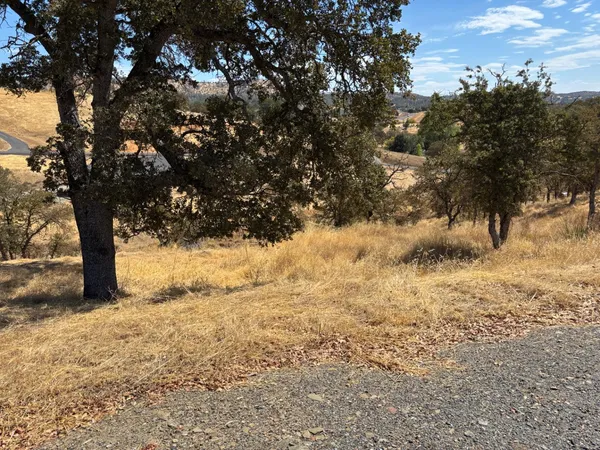 a view of snow covered with trees
