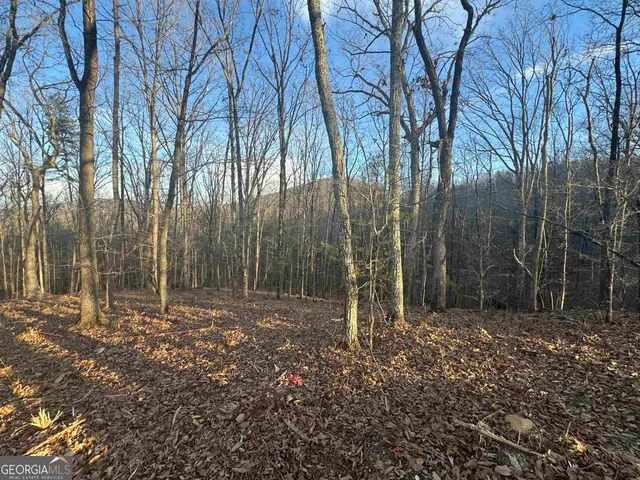 $54,900 | Lot 55 Teel Mountain Drive, Cleveland, GA 30528