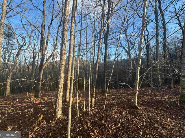 $54,900 | Lot 55 Teel Mountain Drive, Cleveland, GA 30528