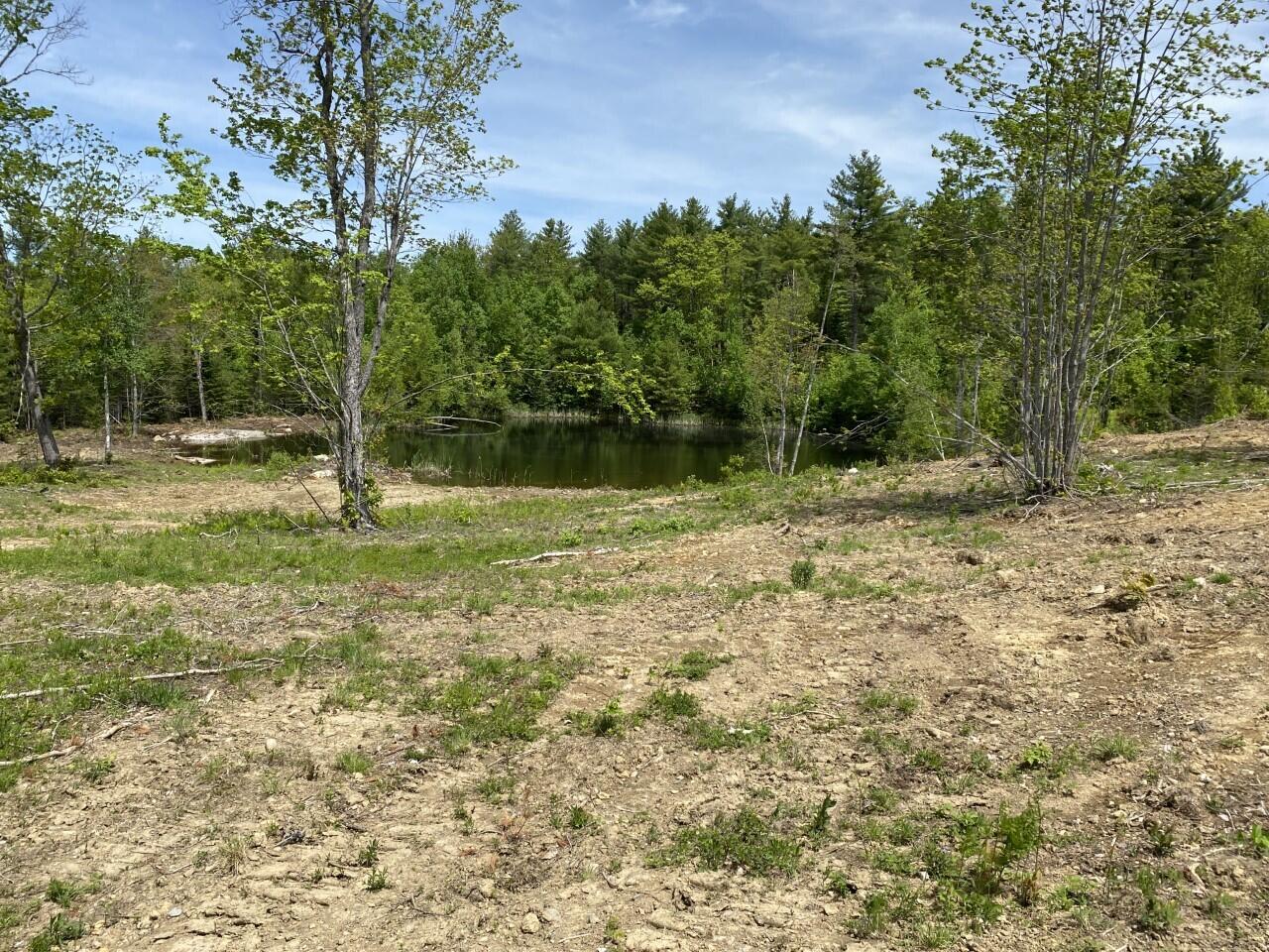 1015 Colby Road Palermo, ME 04354 - Photo 32 of 35 Small pond behind the garage