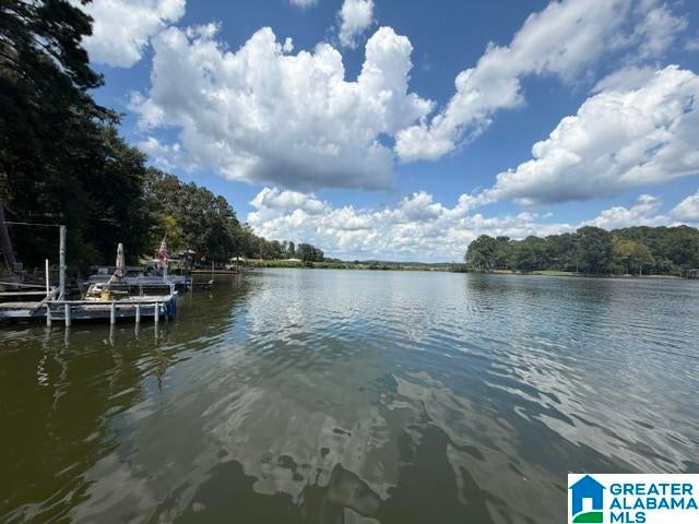 105 Hollis Court Road Vincent, AL 35178 - Photo 17 of 41 Gallery Image 17
