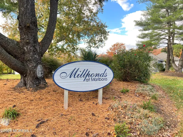 a view of back yard of a building