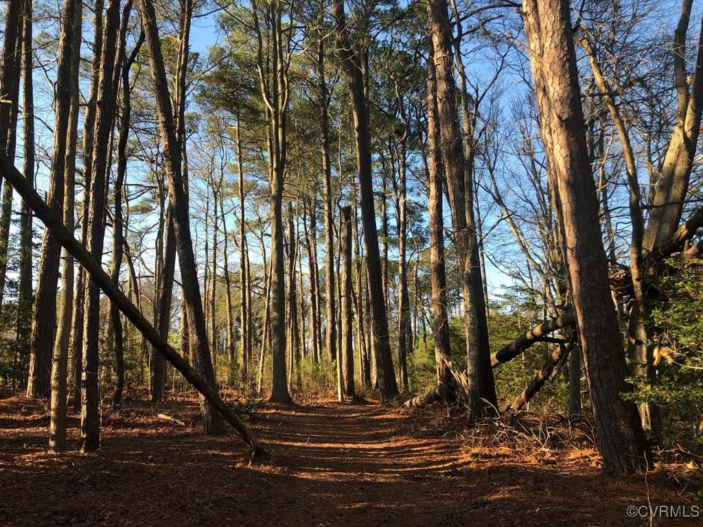 0 Loch Heathsville, VA 22473 - Photo 4 of 9 a view of a backyard of the house