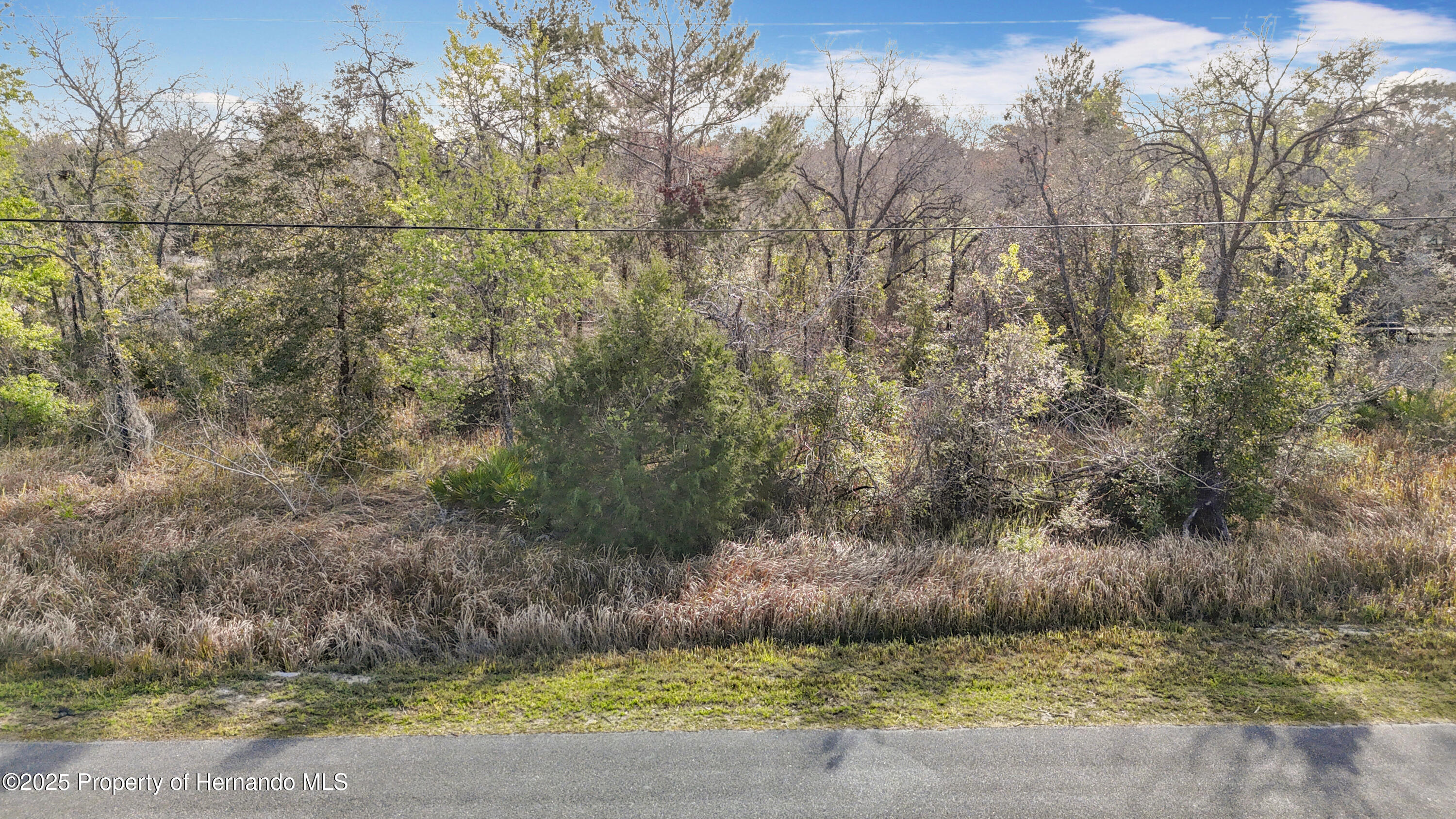 0 Maripoe Road Weeki Wachee, FL 34614 - Photo 17 of 39