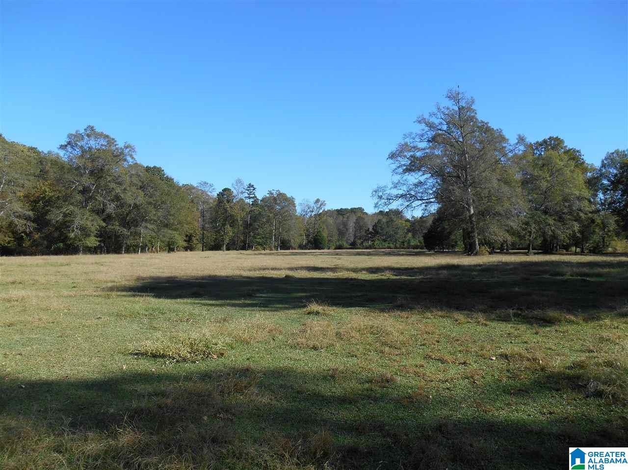 6429 County Road 39 Chelsea, AL 35043 - Photo 2 of 5
