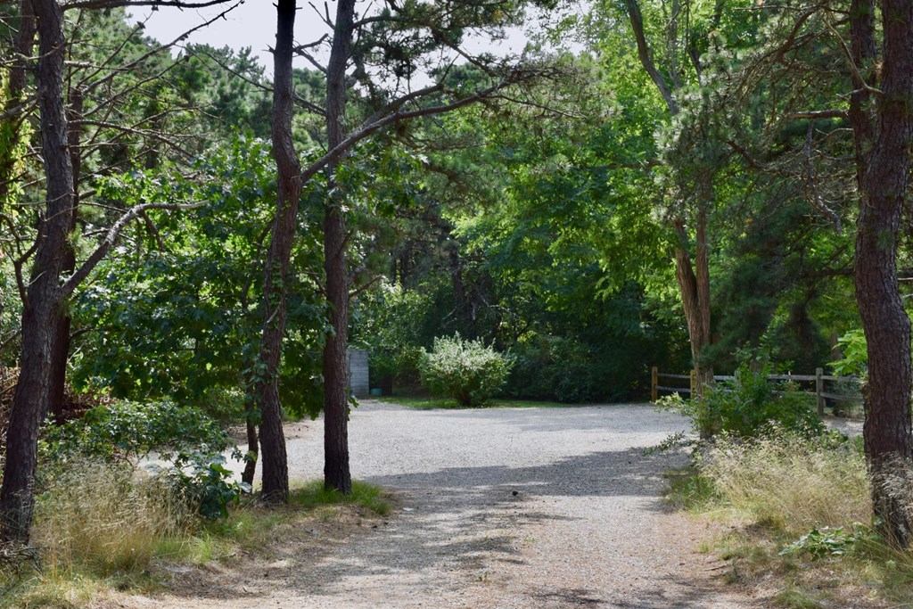 125 Shore Road, Unit 9 Truro, MA 02666 - Photo 15 of 15