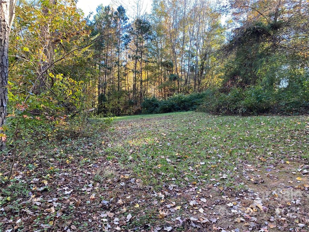 2888 Rimer Road Concord, NC 28025 - Photo 4 of 13 a view of a green field with lots of bushes
