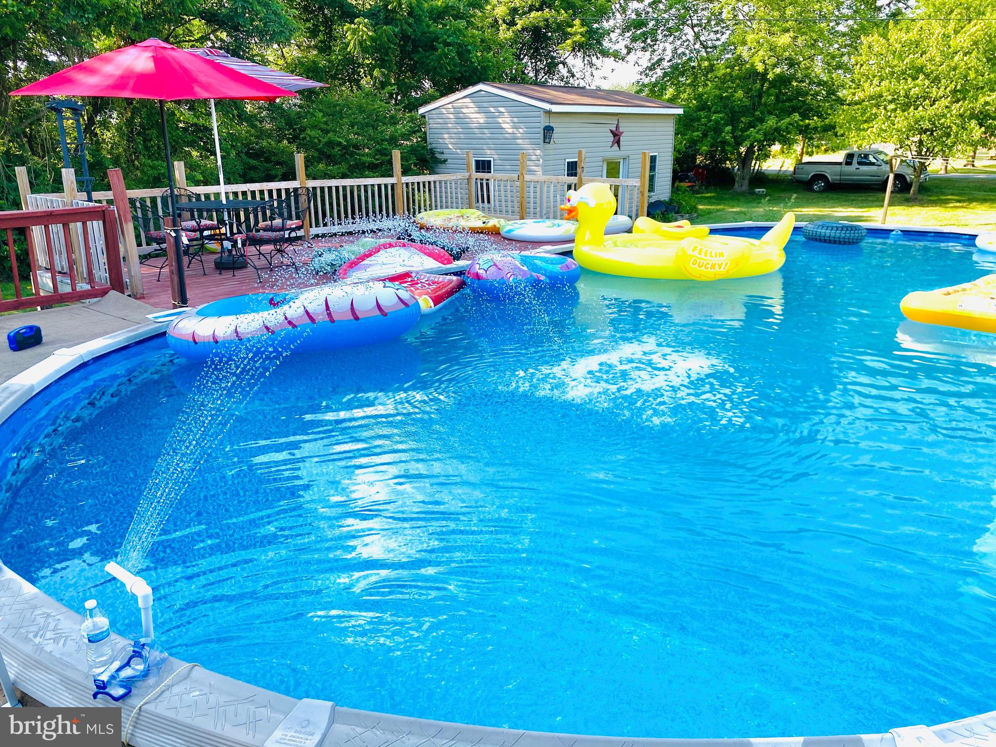 5607 Elizabethtown Road Palmyra, PA 17078 - Photo 12 of 32 Ready to swim!