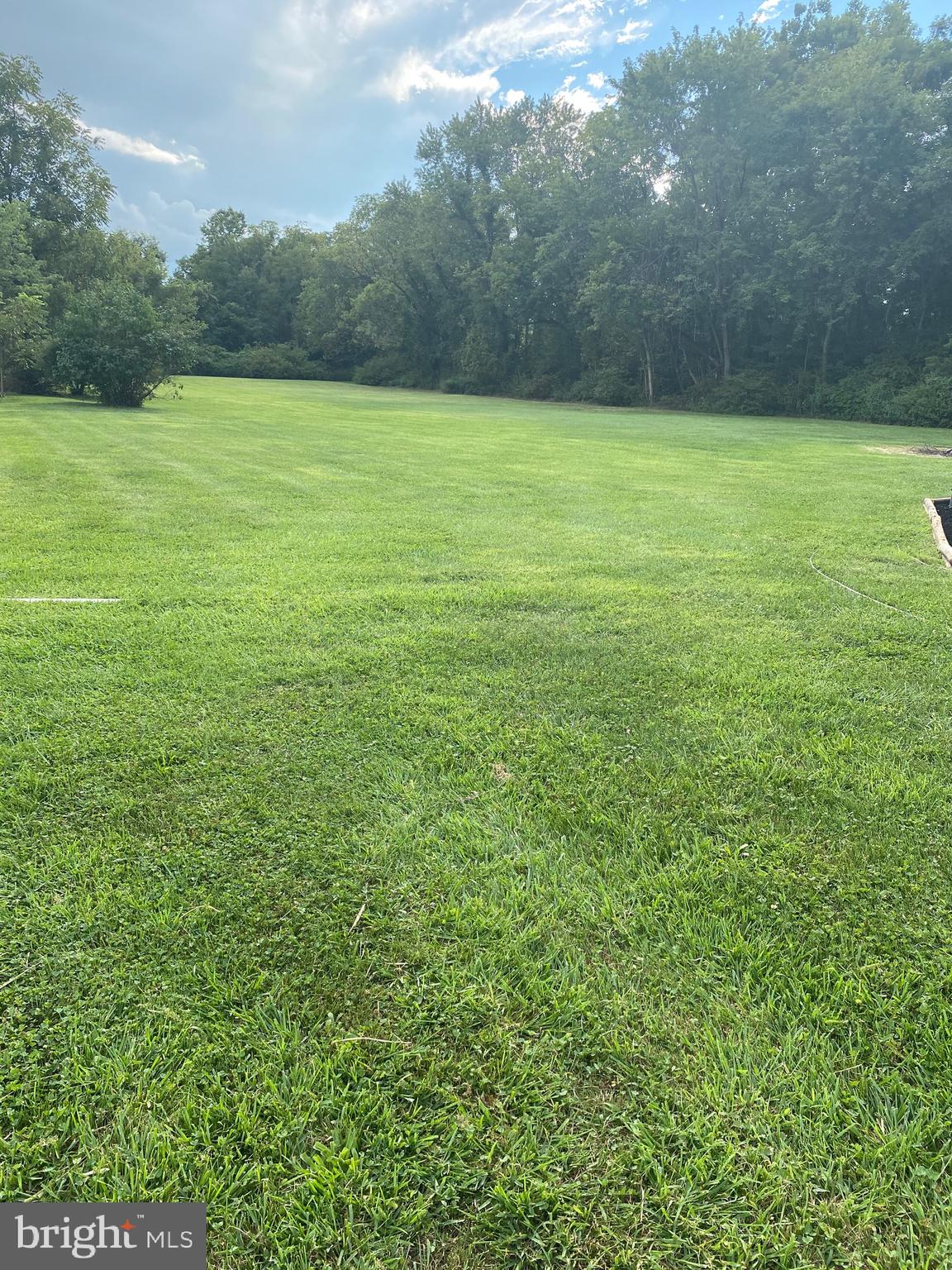 5607 Elizabethtown Road Palmyra, PA 17078 - Photo 21 of 32 Huge, level side yard!