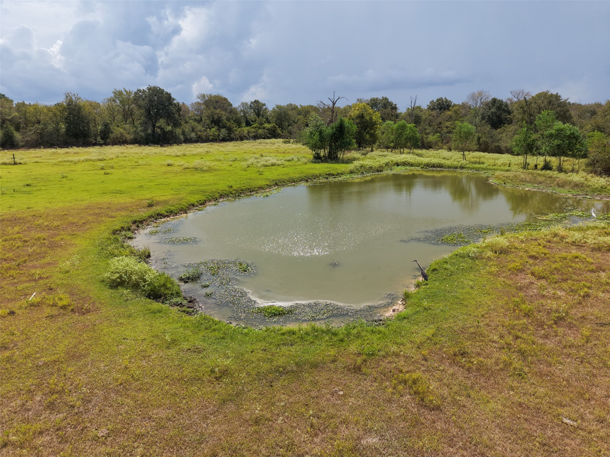 38021 Wiggins Road Hempstead, TX 77445 - Photo 13 of 19 : Wide view of the pond set among open acreage, offering an attractive focal point within the rural landscape.