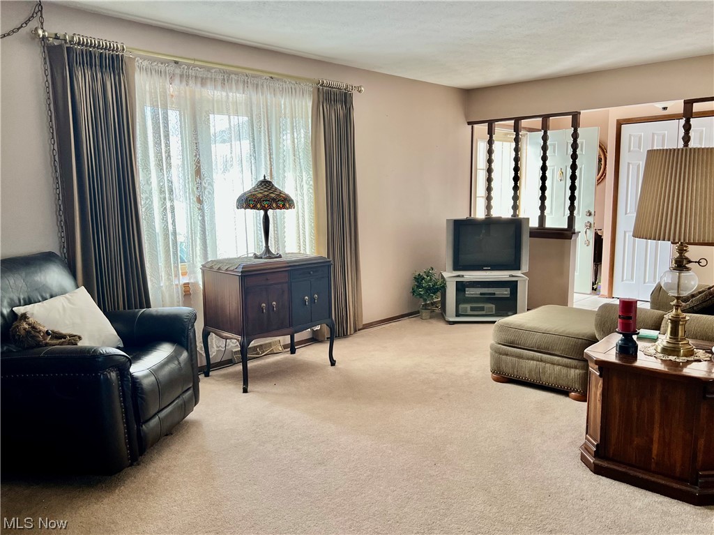 17709 Whitehead Road Lagrange, OH 44050 - Photo 5 of 31