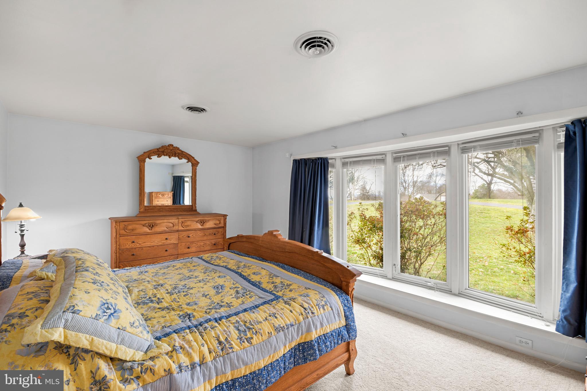 6123 Long Branch Road Frederick, MD 21701 - Photo 28 of 74 Spacious primary bedroom with large windows