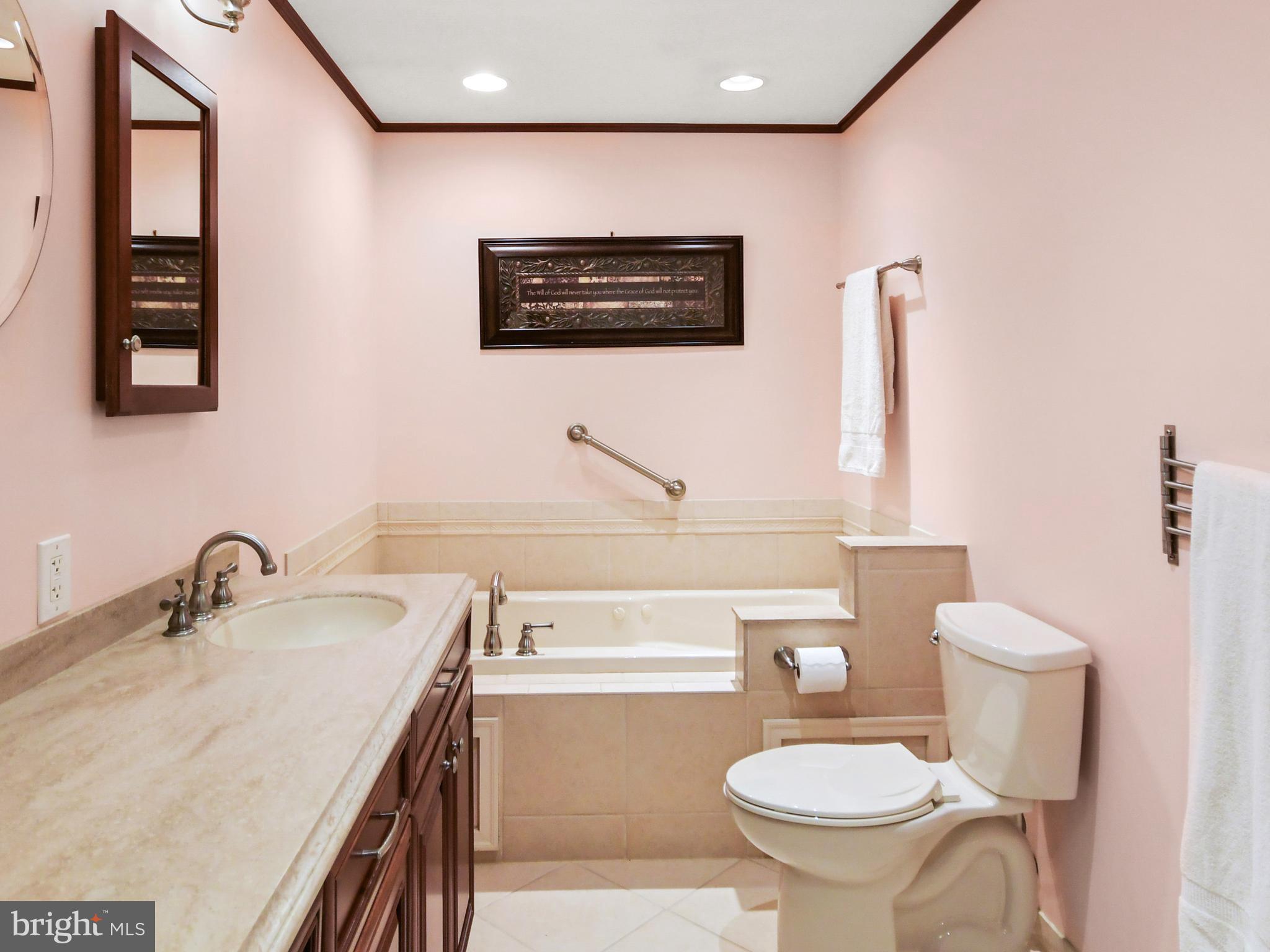 6123 Long Branch Road Frederick, MD 21701 - Photo 34 of 74 Master bath