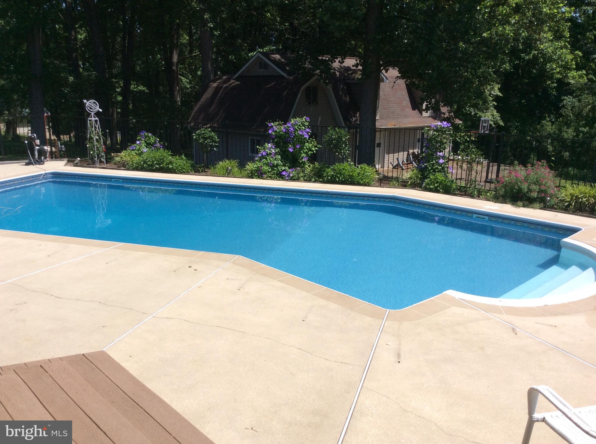 6123 Long Branch Road Frederick, MD 21701 - Photo 62 of 74 Beautiful In-ground pool.