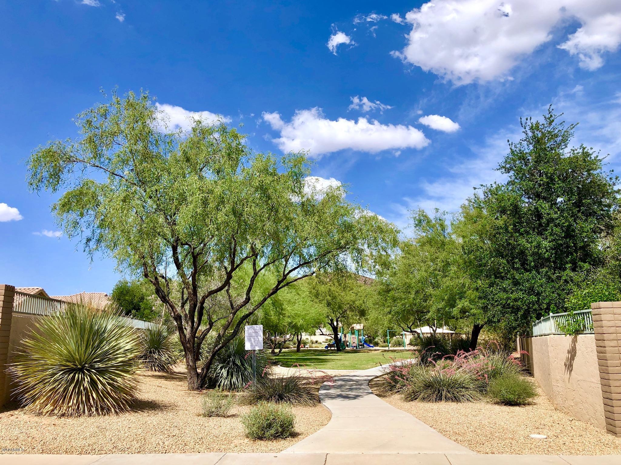 4053 West Saddlehorn Road Phoenix, AZ 85083 - Photo 40 of 47 Green Belt Behind the Home